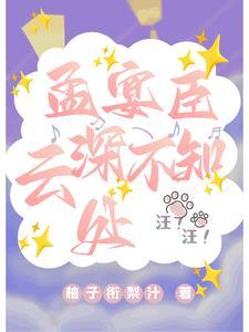 孟宴臣订婚后我重生了书旗