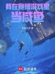 关于我在赛博朋克