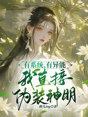 我有系统了