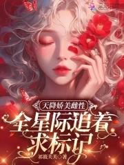 天降小娇妃简介