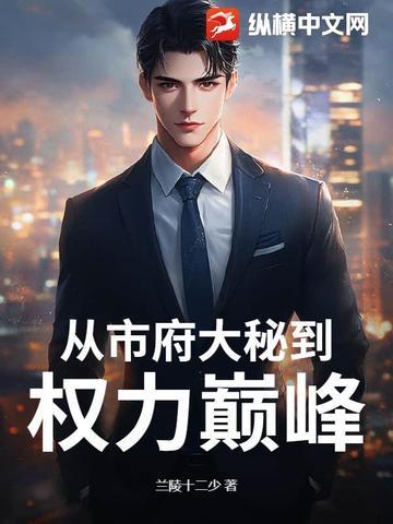 从市府大秘到权力巅峰最新