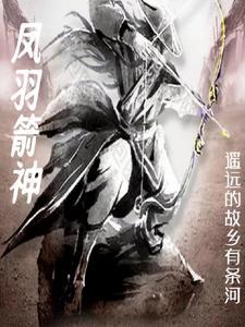 箭羽风息值得入手吗