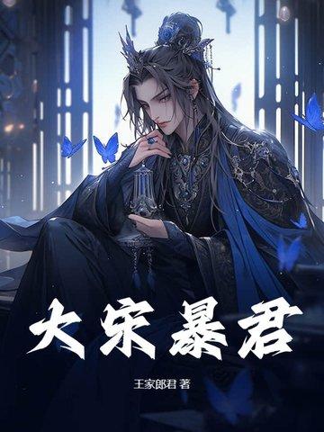 大宋暴君传