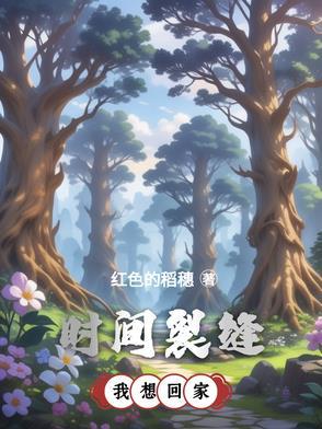 时间裂缝百科