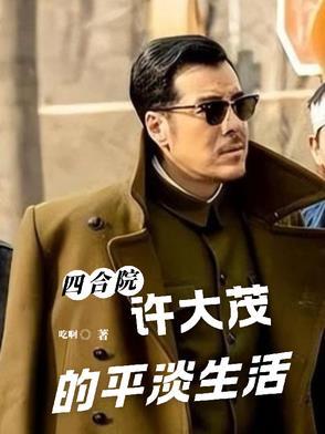 四合院许大茂的不