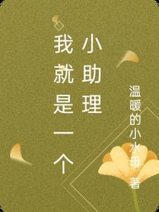 我是一名助理