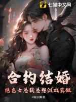 总裁协议结婚电视剧