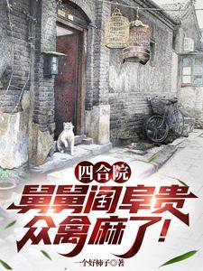 四合院我是阎