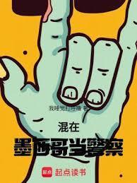 混在墨西哥当警察百度正版