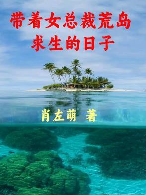 带着女神荒岛求生叶峰