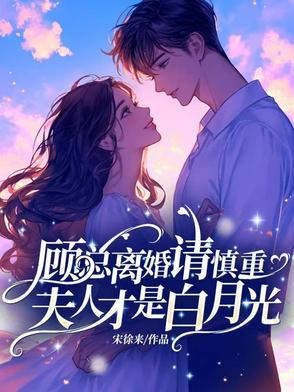 夫人又闹离婚啦