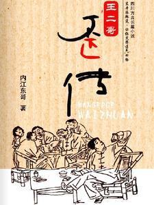 王二哥的主要事迹