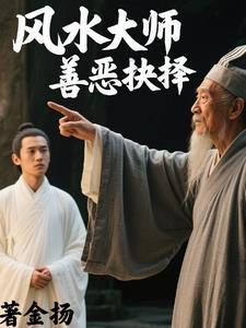 风水大师善恶抉择免费阅读