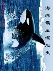 全面战争之霸主崛起