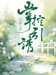 掌控引擎是什么意思?