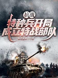 抗日 特种兵