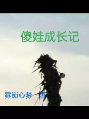 傻娃娃什么意思