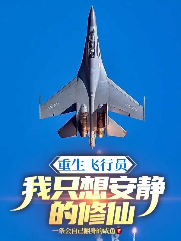 重生飞行员的