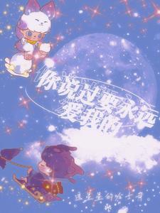你说过的会永远爱我