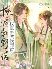 凤髓出书版