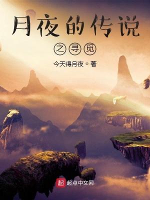寻觅月夜星河