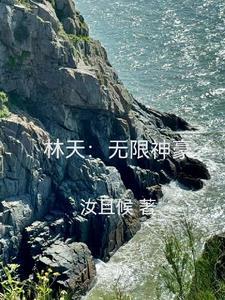 主角是林天的网络