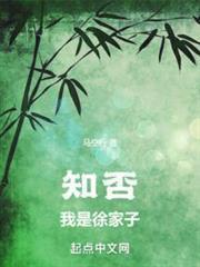 知否我是徐家子精校版