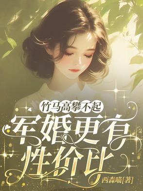 军婚更有性价比TXT百度
