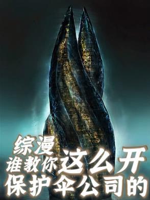 建立保护伞公司的