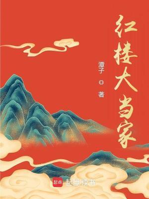 红楼大当家免费阅读笔趣阁