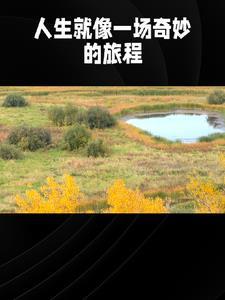 言情小故事甜的