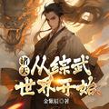 诸天从综武世界开始最