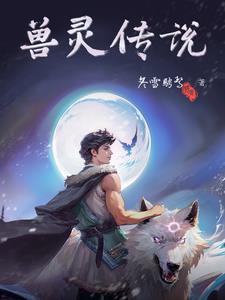 兽灵传说游戏