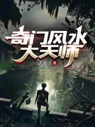 奇门风水大天师作者大茄子真实姓名