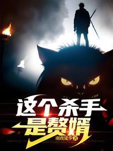 这个杀手是赘婿TXT