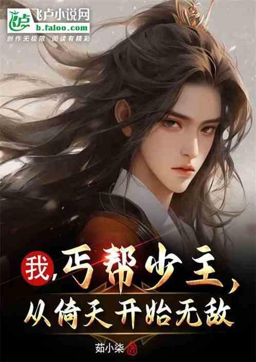 我是丐帮帮主