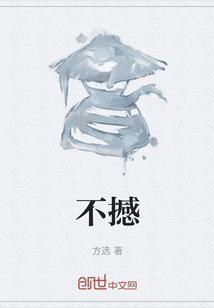 不撼意思