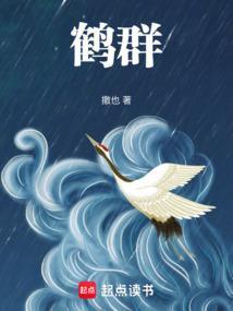 鹤群图片