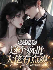 提灯怼月晋江