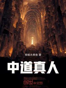 中道老师