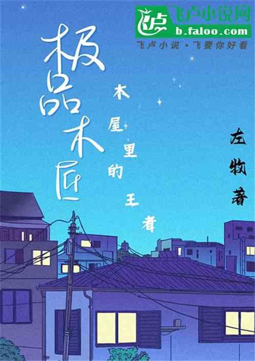 极品老木匠作者忆年