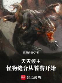 灾祸领主技能
