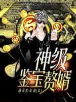 鉴宝神婿