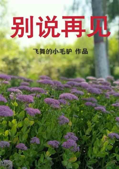 天黑之前别说再见