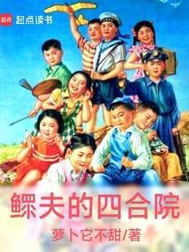 鳏夫的四合院免费阅读全文