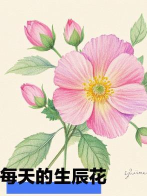 自己的生辰花是什么