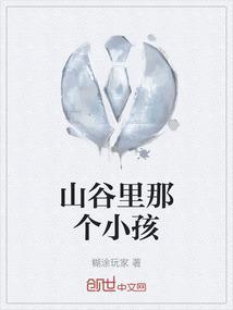 山谷里的门
