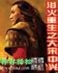 浴火重生之风免费阅读