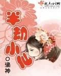 半劫小仙讲了什么