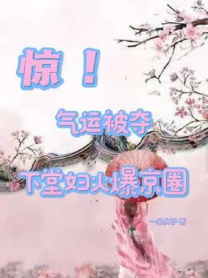 下堂妇的锦绣前程